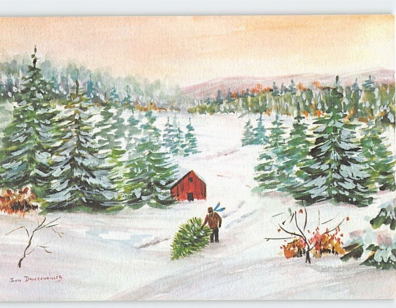 Postcard The Christmas Tree Forest by John Druckenmiller