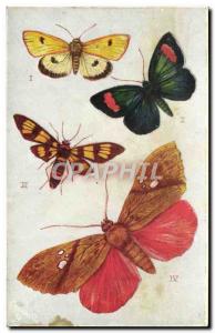 Old Postcard Butterfly Foreign Moths Diacrisia Sannio Euchromia Sangala Glori...