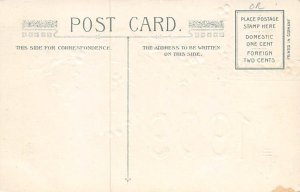 Happy New Year Year Date 1909 Postcard