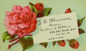 1870's-80's J. A. Bluxome Flowers Feathers & Ribbons Pink Rose Image P108