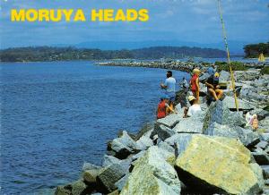 BR101869 moruya heads rockfishing at moruya heads nsw   australia