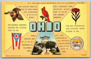 Vtg Ohio OH State Capitol McKinley Memorial Emblems Of The State 1940s Postcard