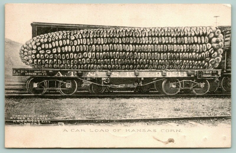 Clearwater KS~Car Load Exaggerated Kansas Corn~Brother Will Hope to Fred~1907 