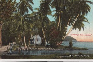 Postcard Greetings From Jamaica Ocho Rio's St Anns