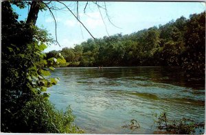 Postcard WATER SCENE Cotter Arkansas AR AL9565