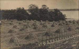 Advertising Hay Raised w/ St. Clair Fertilizer 1909 Real Photo Postcard