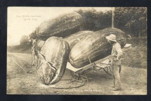 RPPC WH MARTIN EXAGGERATION WATERMELON FARMING REAL PHOTO POSTCARD