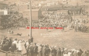 CO, Victor, Colorado, RPPC, Bronco Busting on Labory Day, Photo