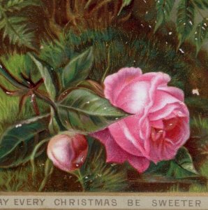 1880s Embossed Victorian Christmas Be Sweeter Than The Last Trade Card Rose 6E