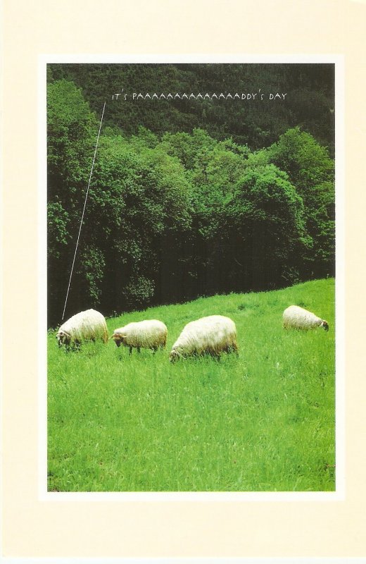 Animals. Sheep grazing Modern Irish St. Patrick Day Greetings, postage paid P.