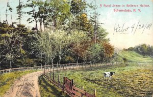 SCHENECTADY NY New York BELLEVUE HOLLOW RURAL SCENE Dirt Road~Cows 1909 Postcard