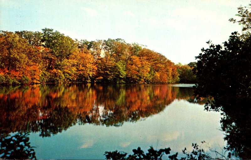 New York Long Island Sag harbor Trout Pond