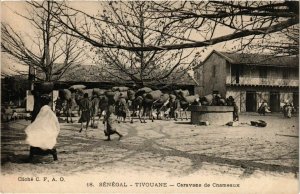 CPA AK Tivouane - Caravane de Chameaux SÉNÉGAL (778592)