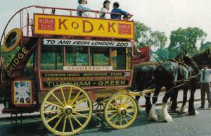 London Kodak Camera Advertising Hammersmith Zoo Garden Seat Omnibus Postcard