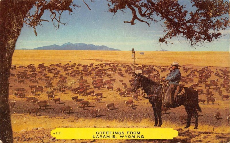 Cowboy, Horse, Cattle LARAMIE, WYOMING Greetings 1950s Vintage Postcard