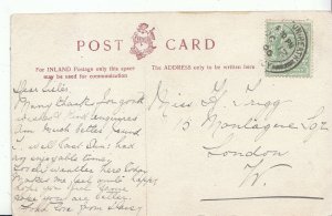 Genealogy Postcard - Family History - Trigg - Montague Square - London    A4369