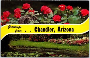 VINTAGE POSTCARD FLOWERS AND GARDEN DUAL-VIEW AT CHANDLER ARIZONA