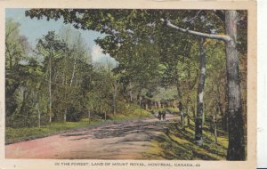 Canada Postcard - In The Forest - Land of Mount Royal - Montreal - Ref 5592A