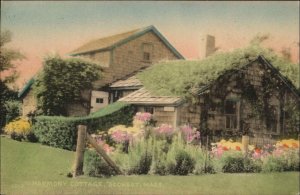 Sconset Nantucket Massachusetts MA Harmony Cottage Postcard