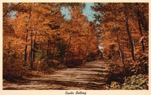 Vintage Postcard 1920's Rustic Setting Four Season Autumn Color Trees Roadway