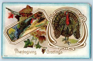 Thanksgiving Postcard Greetings Turkey Ivy Leaf House Scene Embossed c1910's