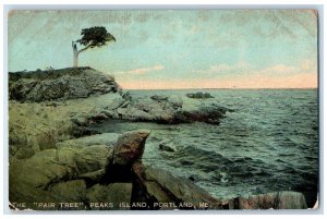 1910 The Pair Tree Peaks Island Rocky Sea Portland Maine ME Posted Postcard