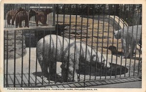Polar Bear, Zoological Garden, Fairmount Park Philadelphia, Pennsylvania PA  