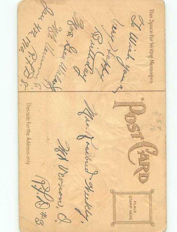 Divided-Back BEAUTIFUL FLOWERS SCENE Great Postcard AA2873