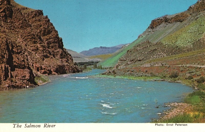 Vintage Postcard Geological Formations Along The Famous Salmon River Idaho ID