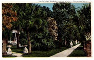 Florida  St Petersburg  Corner 2nd Avenue and First Street