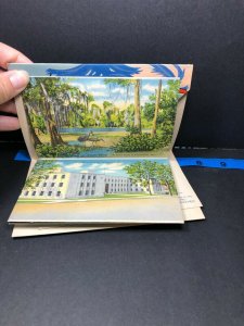 Tallahassee State Capitol College Folder Florida Vintage Postcard