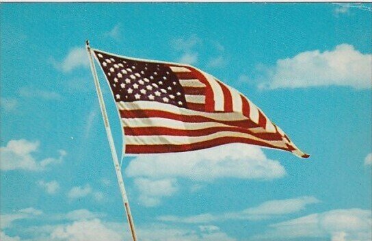 50 Star Flag Of The United States