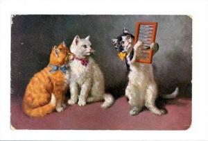 LP30     Cats Abacus   vintage postcard, Chats