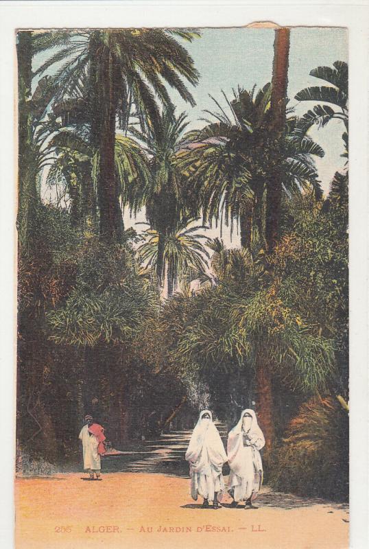 Alger Algeria Essai garden veiled ethnic women