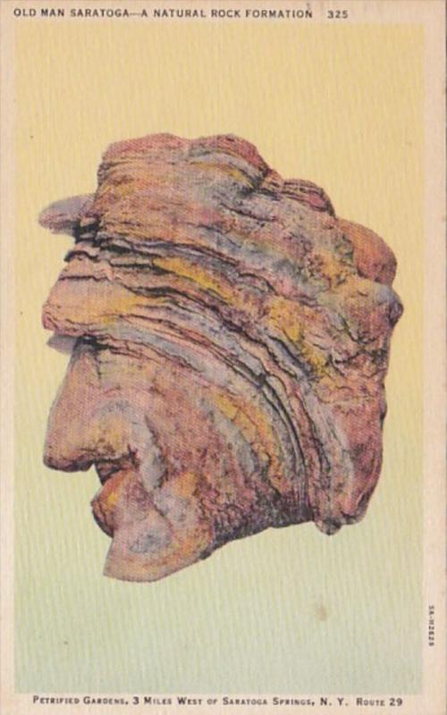 New York Saratoga Springs Old Man Saratoga Petrified Gardens 1949 Curteich