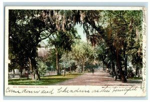 C.1910 Ridgewood Avenue, Daytona, Fla. Postcard P50