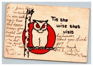 Vintage 1907 Postcard Comic Owl Tis the Wise that Visit