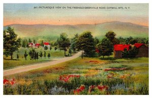 Postcard ROAD SCENE Catskill New York NY AU8182