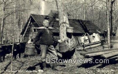 Real Photo - Sugar Bush in White Mountains, New Hampshire