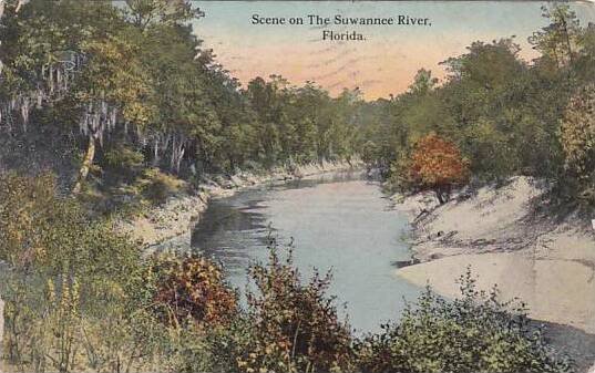 Florida Scene On the Suwannee River 1913