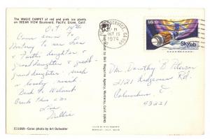 Ice Plants Pacific Grove California 1974 Chrome