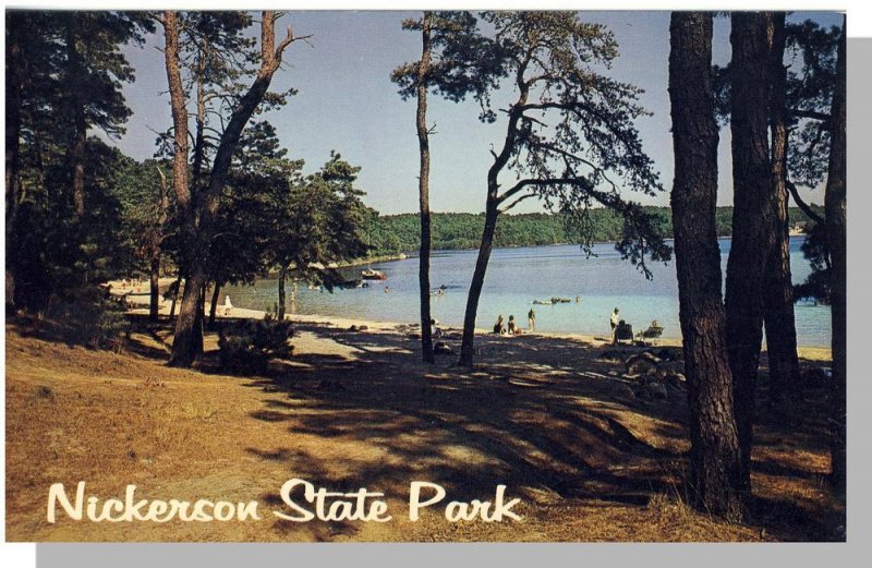 Brewster, Massachusetts/MA, Postcard, Nickerson State Park, Cape Cod