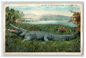 1927 Big Joe at the Alligator Park, Hot Springs Arkansas AR Posted Postcard