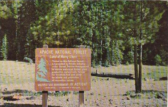 Arizona Apache National Forest