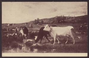 The Herd,Cows,Marke,Painting Postcard 