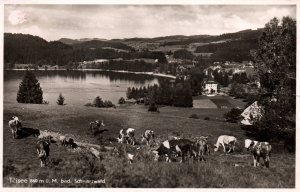 Titisee,Germany BIN