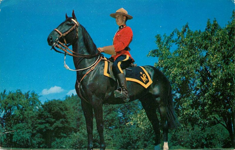 Postcard Canada The Royal Canadian MP Horseback Unposted 