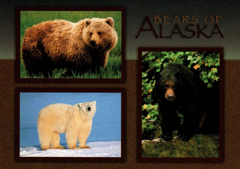 Bears of Alaska BIN