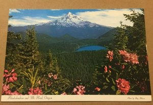 VINTAGE POSTCARD UNUSED MT. HOOD AND LOST LAKE, OREGON