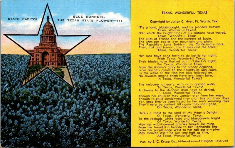 Blue Bonnets Texas State Flower TX Vintage postcard